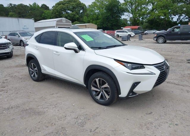 2019 LEXUS NX