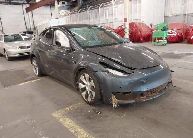 2021 TESLA Model Y
