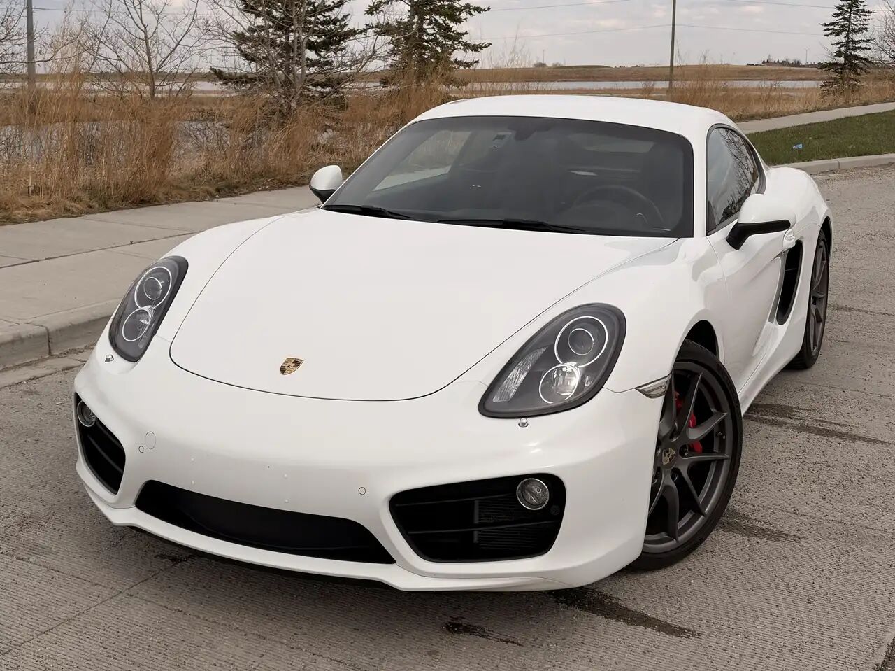 Porsche Cayman