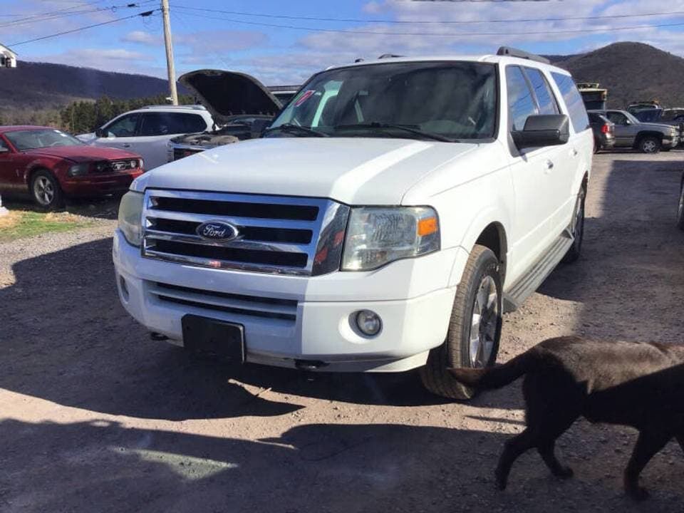 2010 FORD Expedition