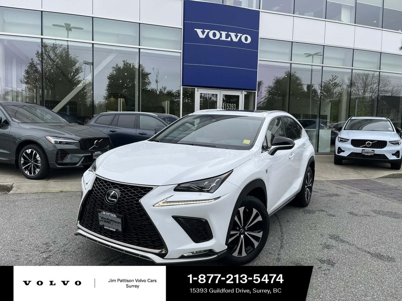 2019 LEXUS NX