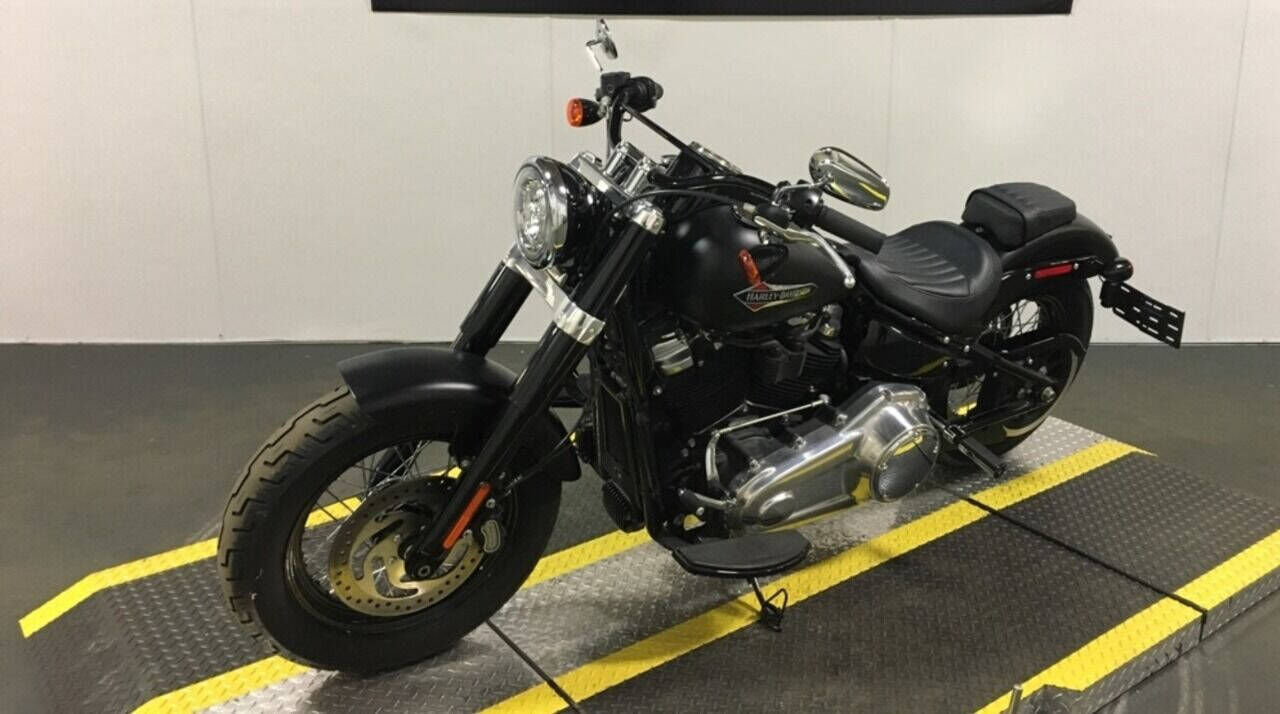2018 HARLEY DAVIDSON FLSL / Softail Slim