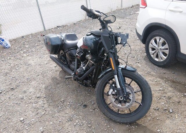 2025 HARLEY-DAVIDSON Low Rider ST