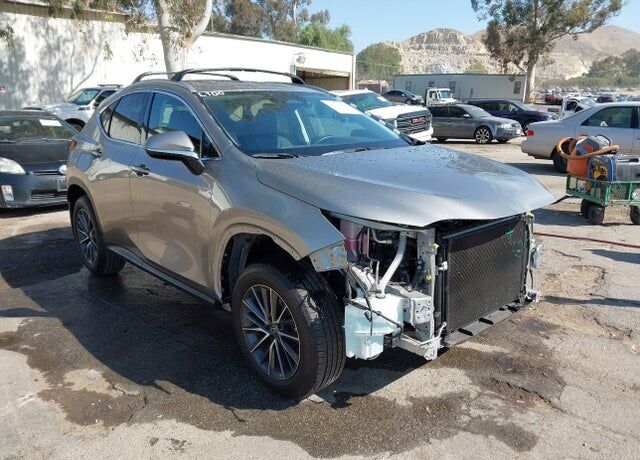 2025 LEXUS NX
