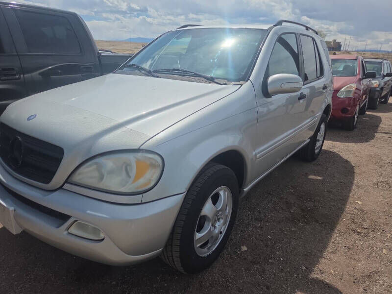 2002 MERCEDES-BENZ M-Class
