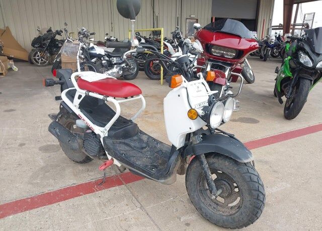 2019 HONDA NPS50