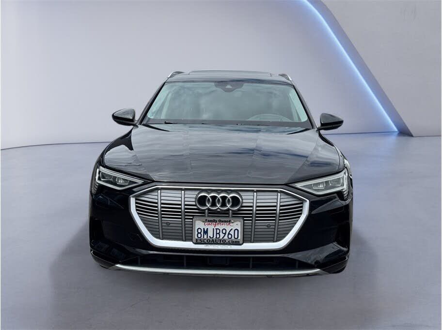2019 Audi e-tron
