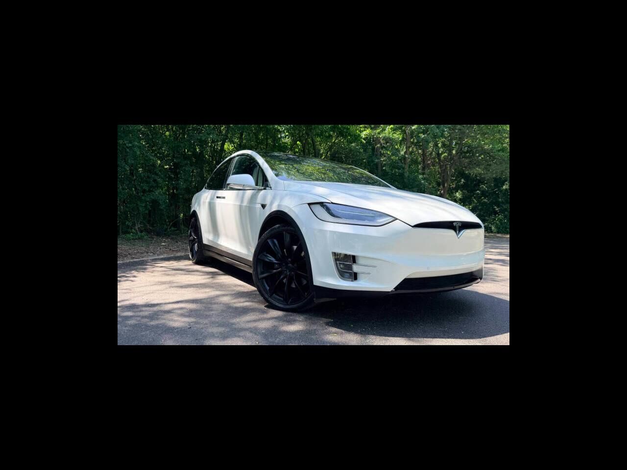 2019 TESLA Model X