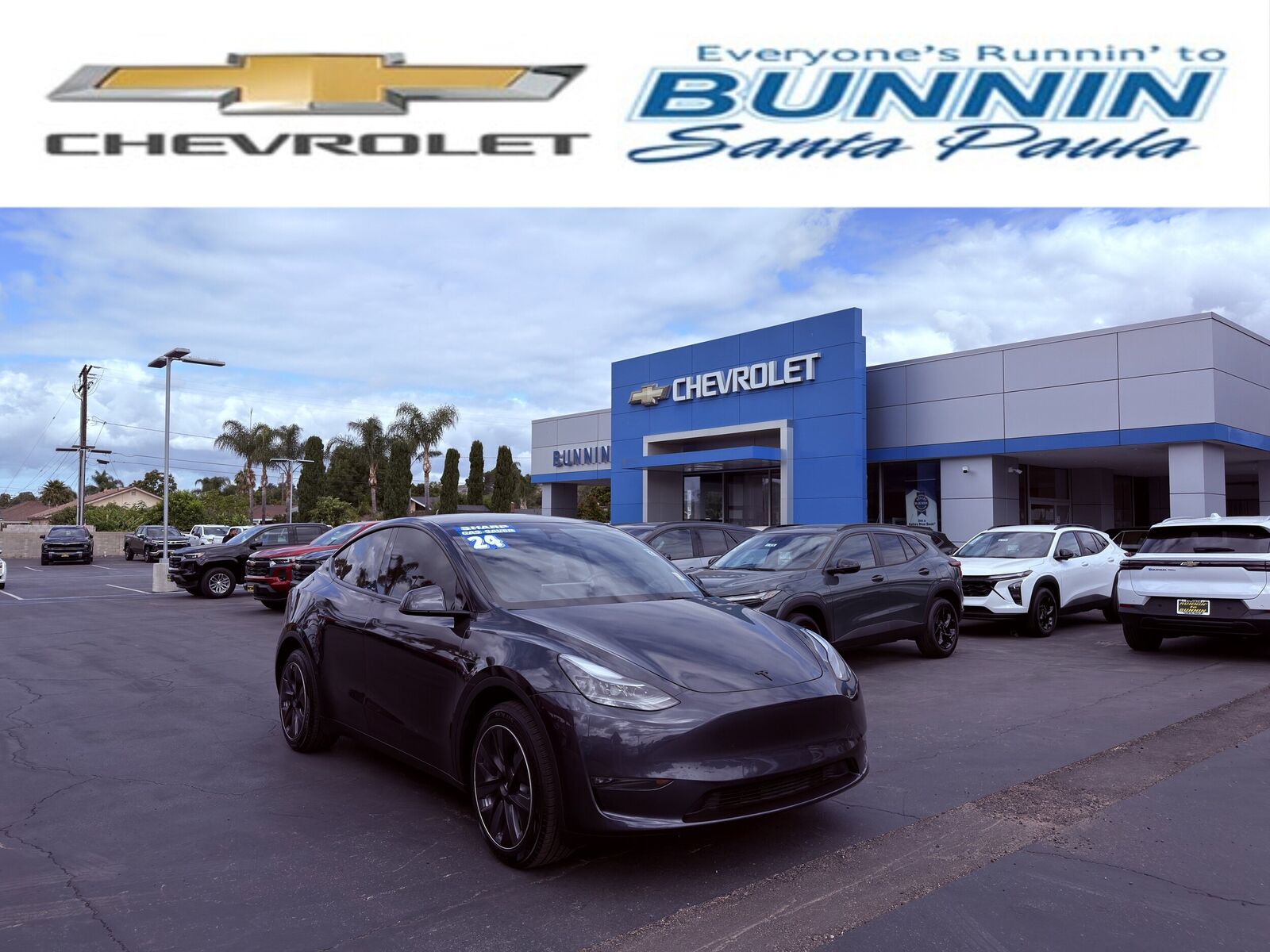 2024 TESLA Model Y