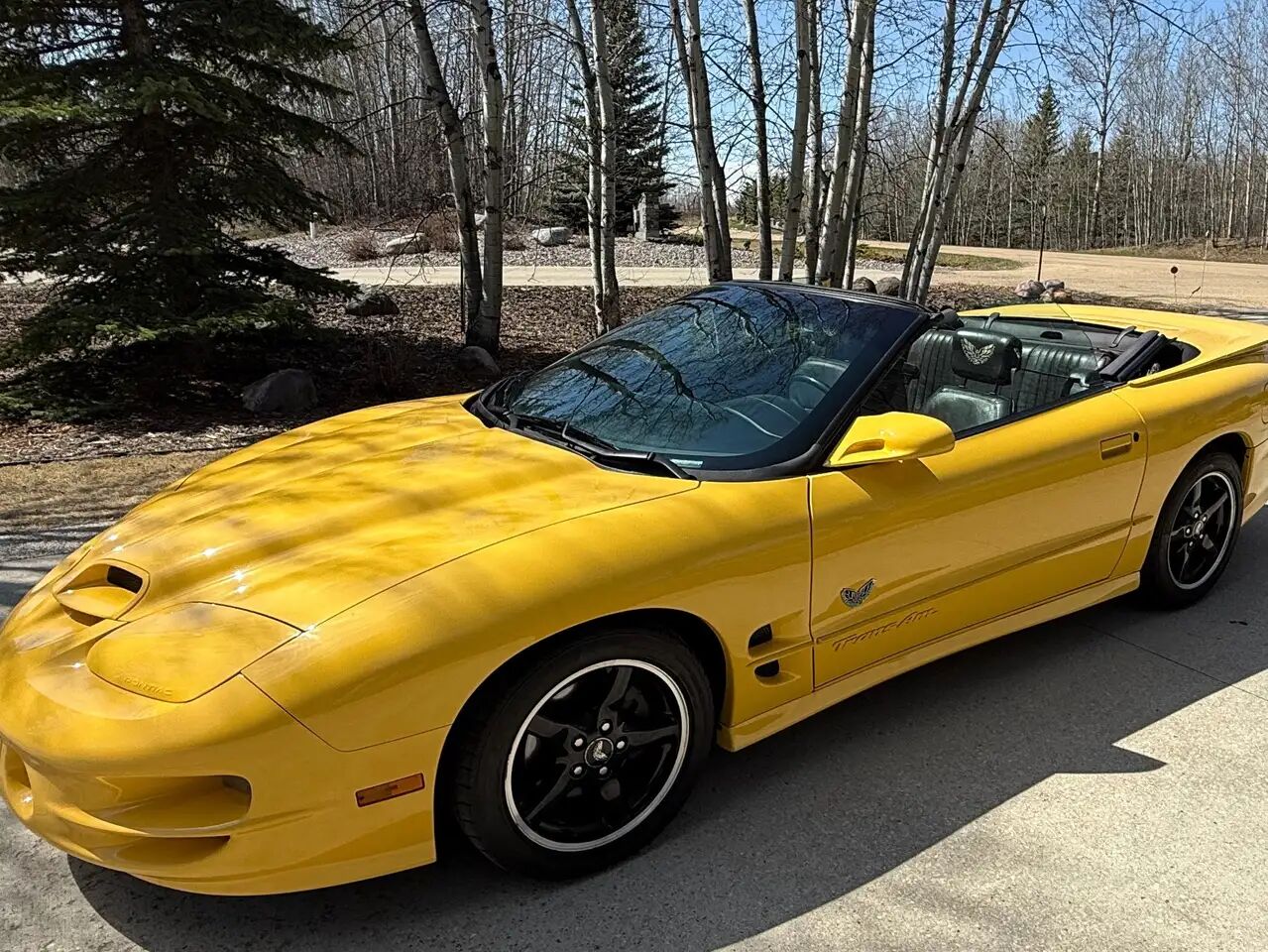 2002 PONTIAC Firebird