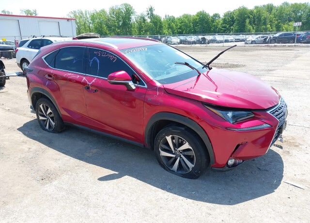2019 LEXUS NX