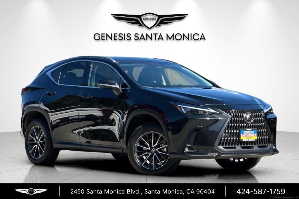 2024 Lexus NX