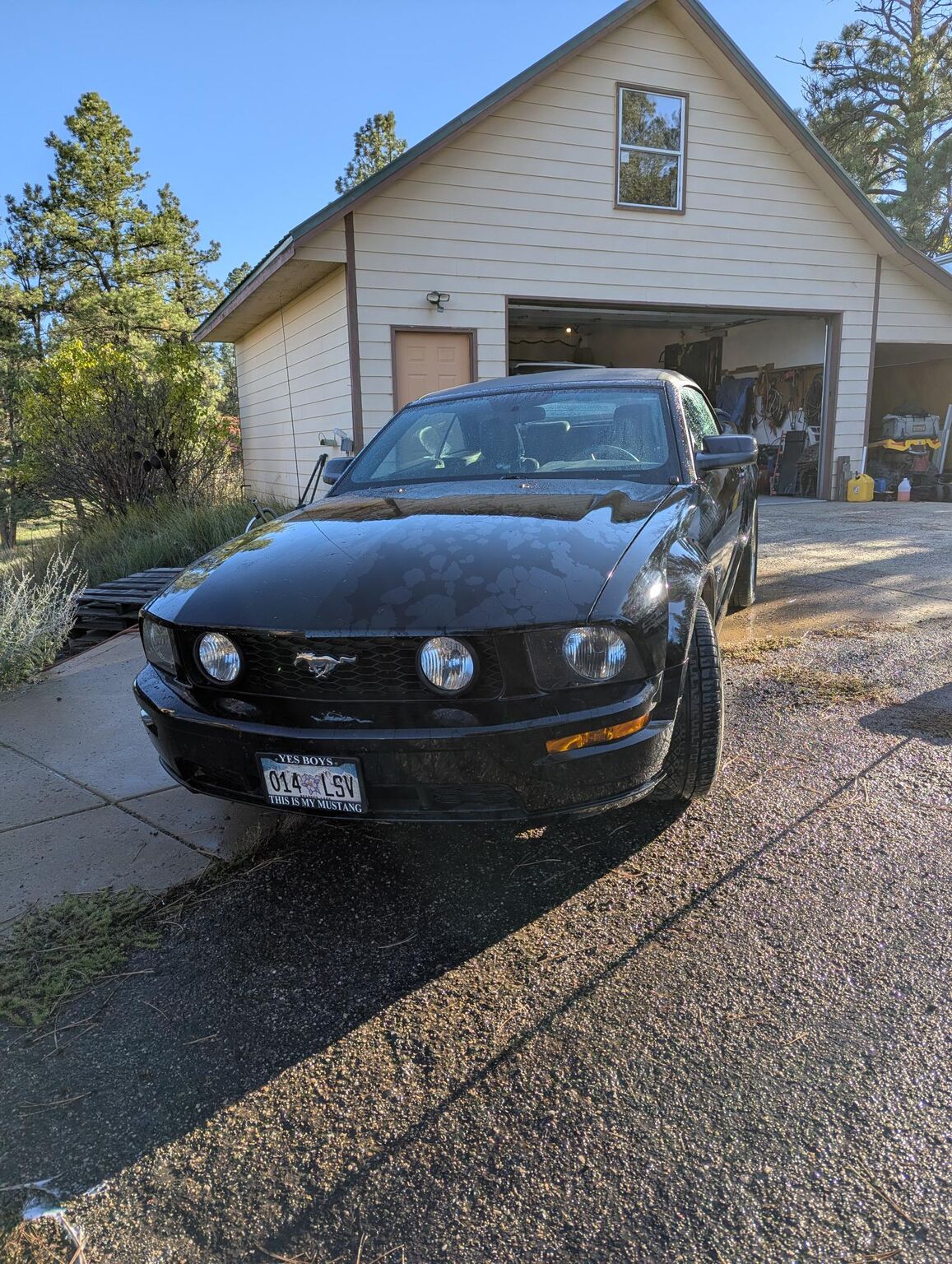 Ford Mustang