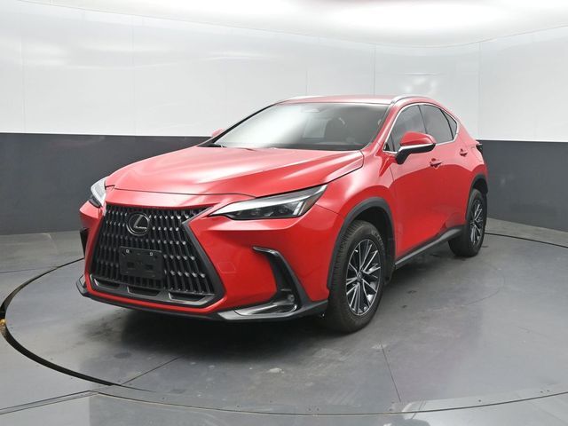 2024 LEXUS NX