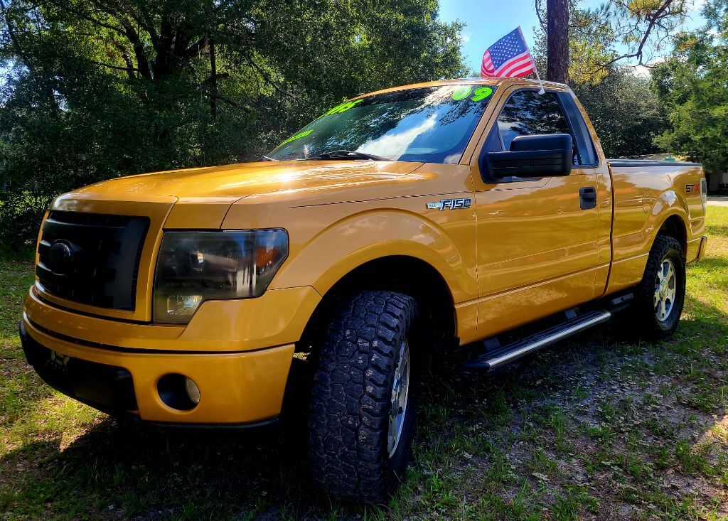 2009 FORD F-150