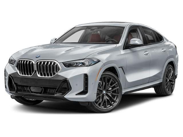 2024 BMW X6