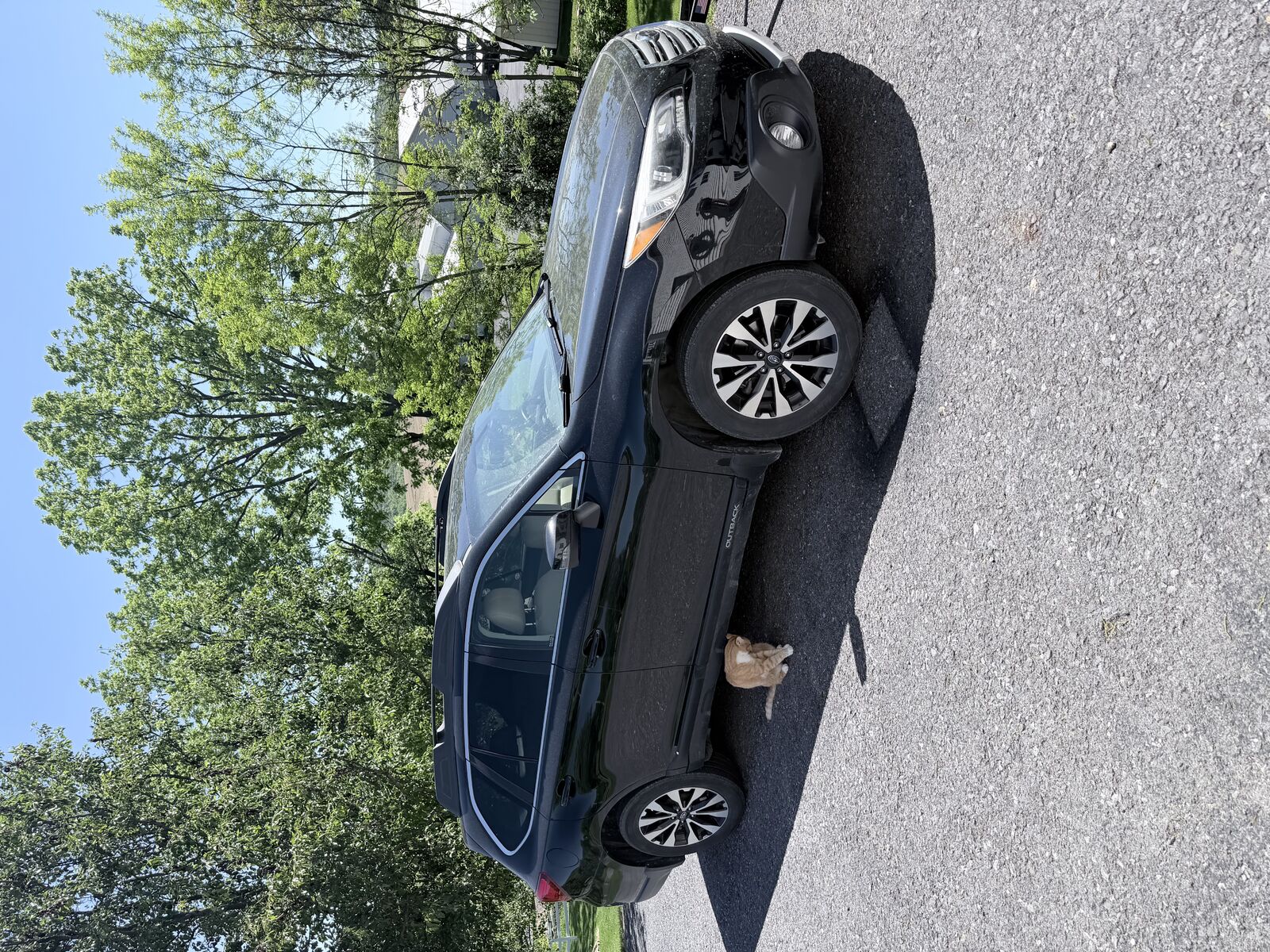 2017 SUBARU Outback