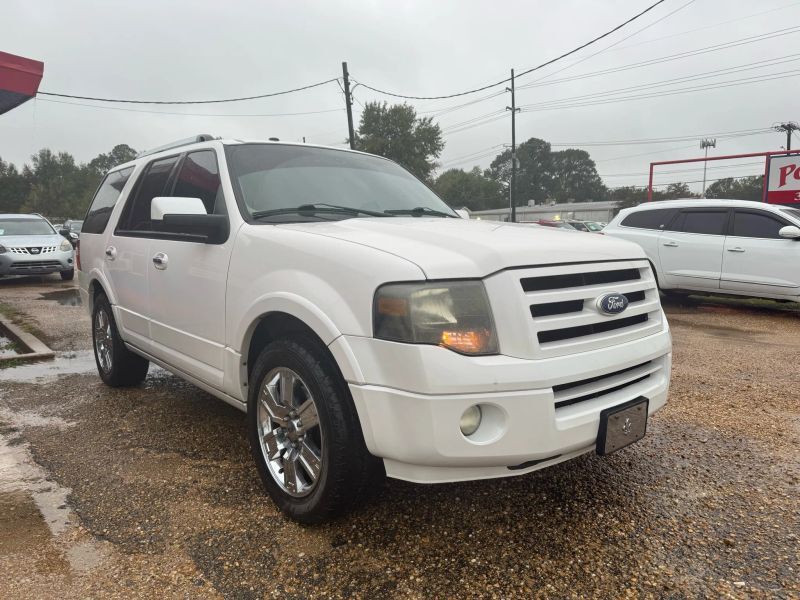 2010 FORD Expedition