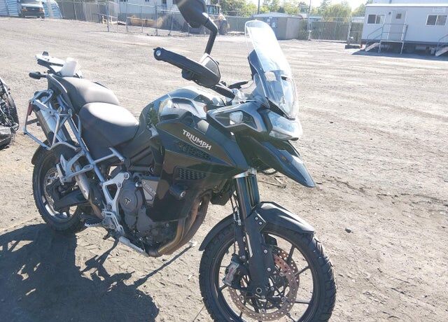 2023 TRIUMPH Tiger