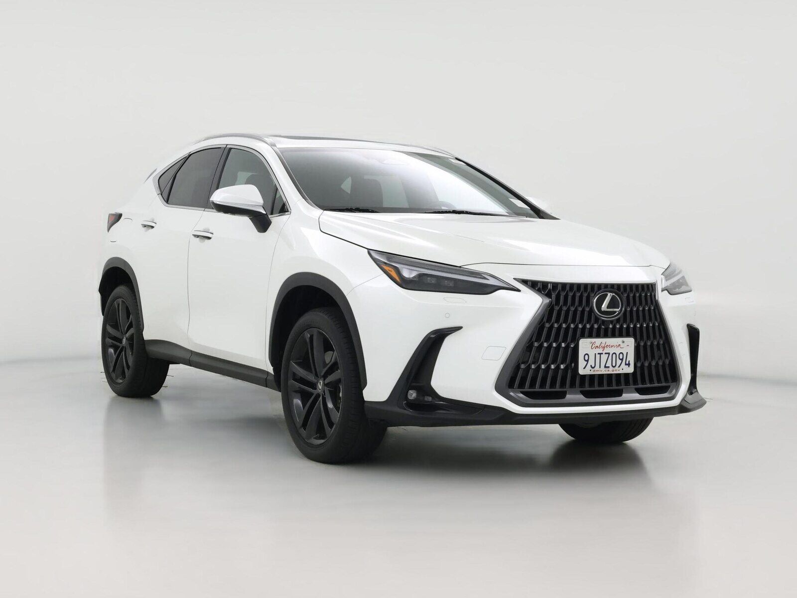 2024 LEXUS NX