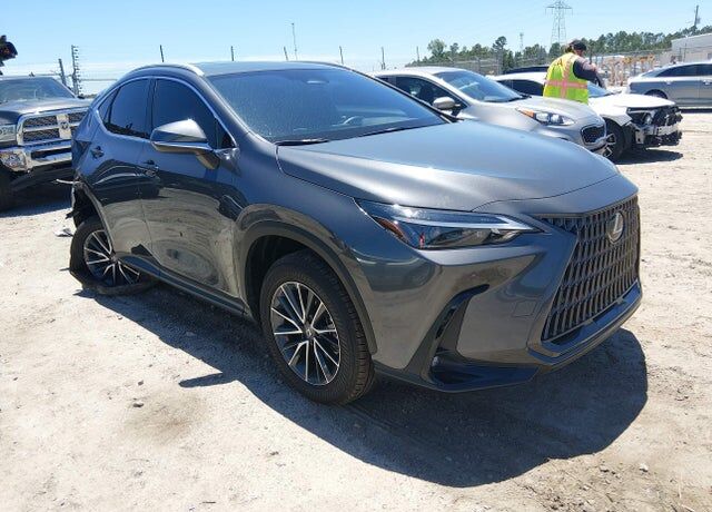 2025 LEXUS NX