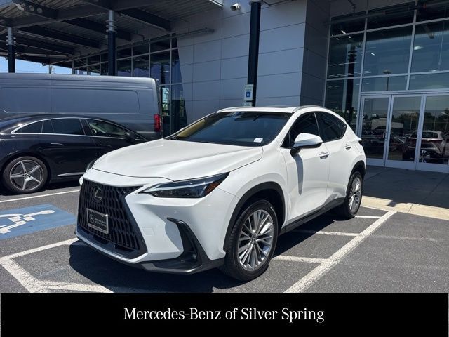 2025 LEXUS NX