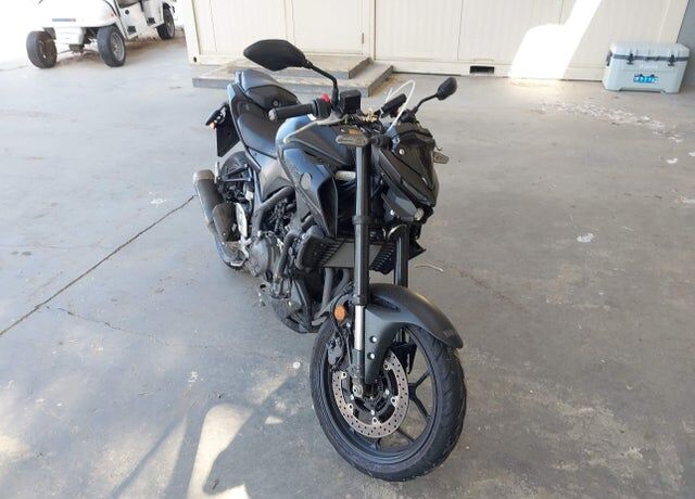 2025 YAMAHA MTN320