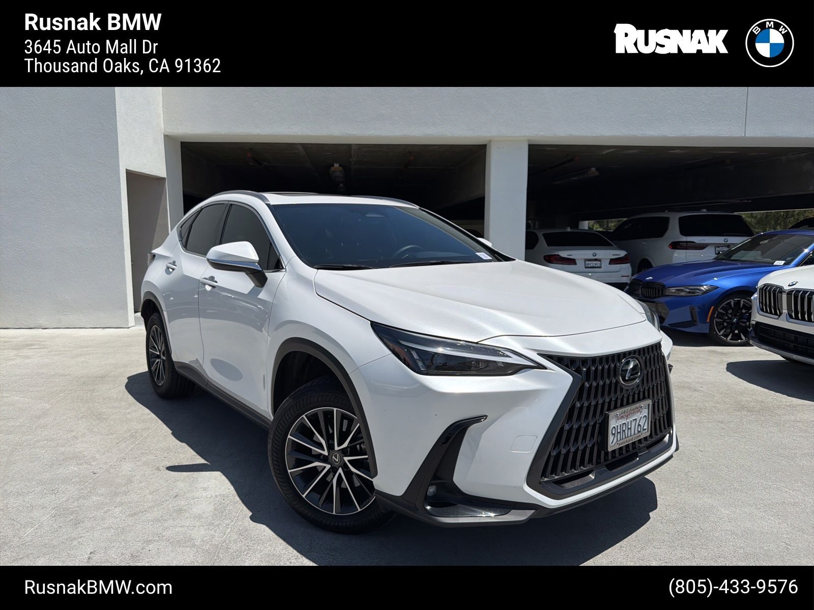 2024 LEXUS NX