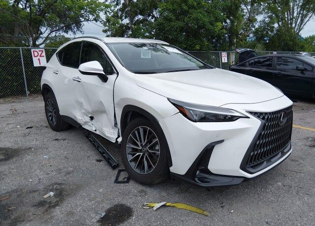 2025 LEXUS NX