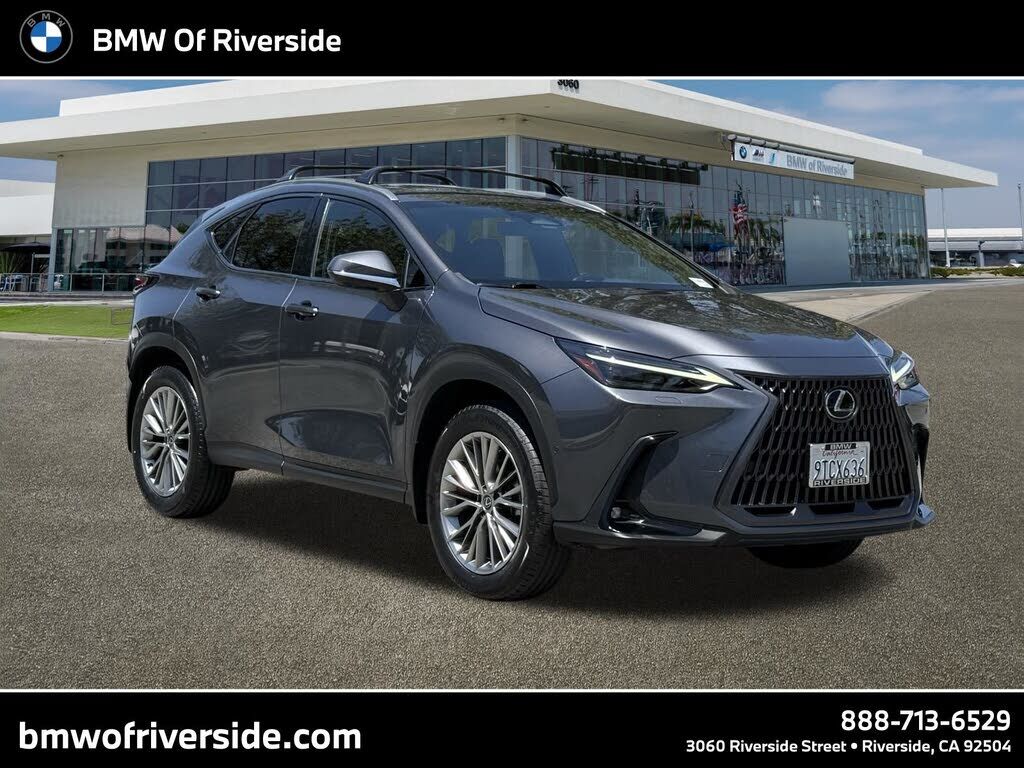 2024 LEXUS NX