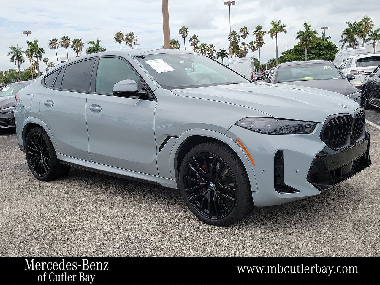 2024 BMW X6