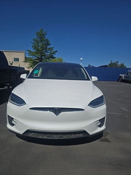 2019 TESLA Model X