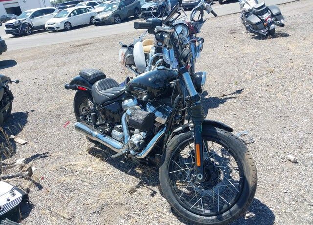 2025 HARLEY-DAVIDSON Street Bob