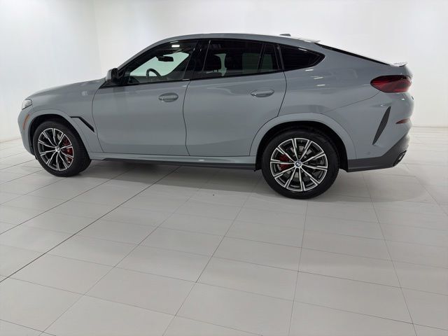 2024 BMW X6