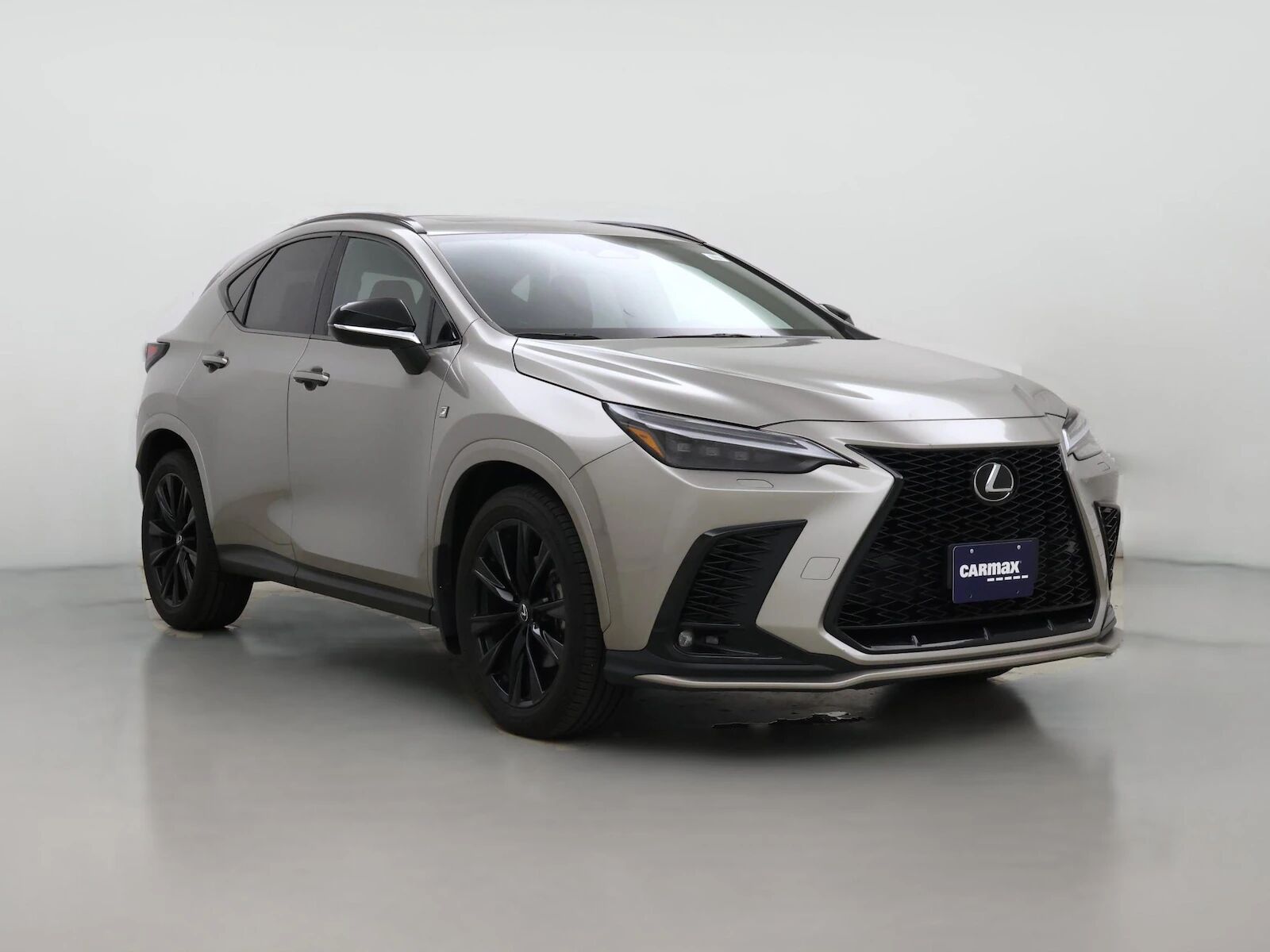 2024 LEXUS NX