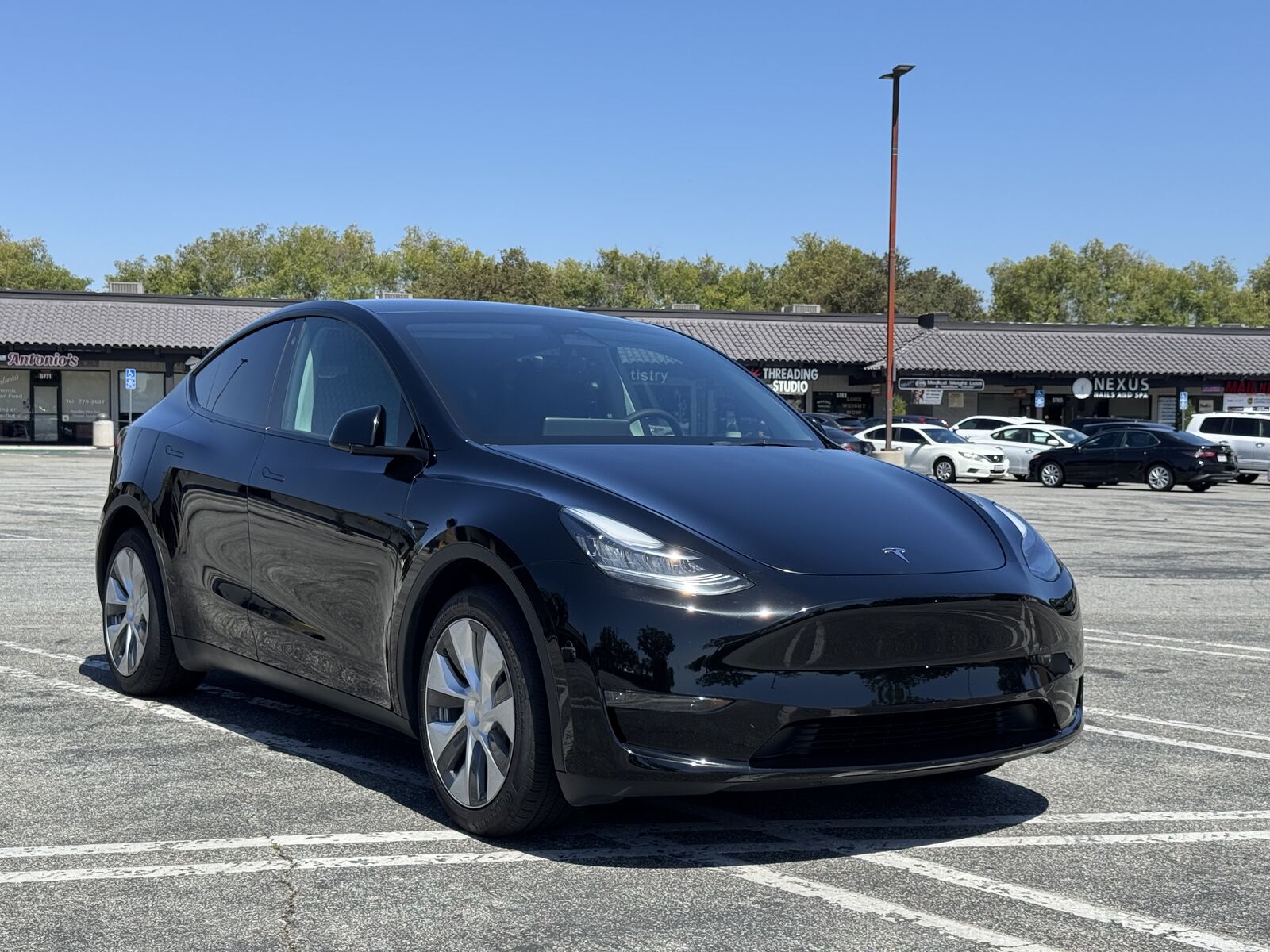 2023 TESLA Model Y