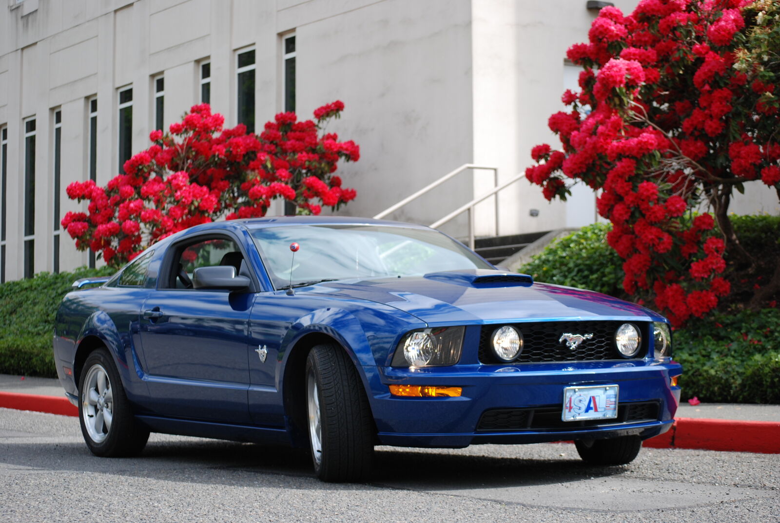 2009 FORD Mustang