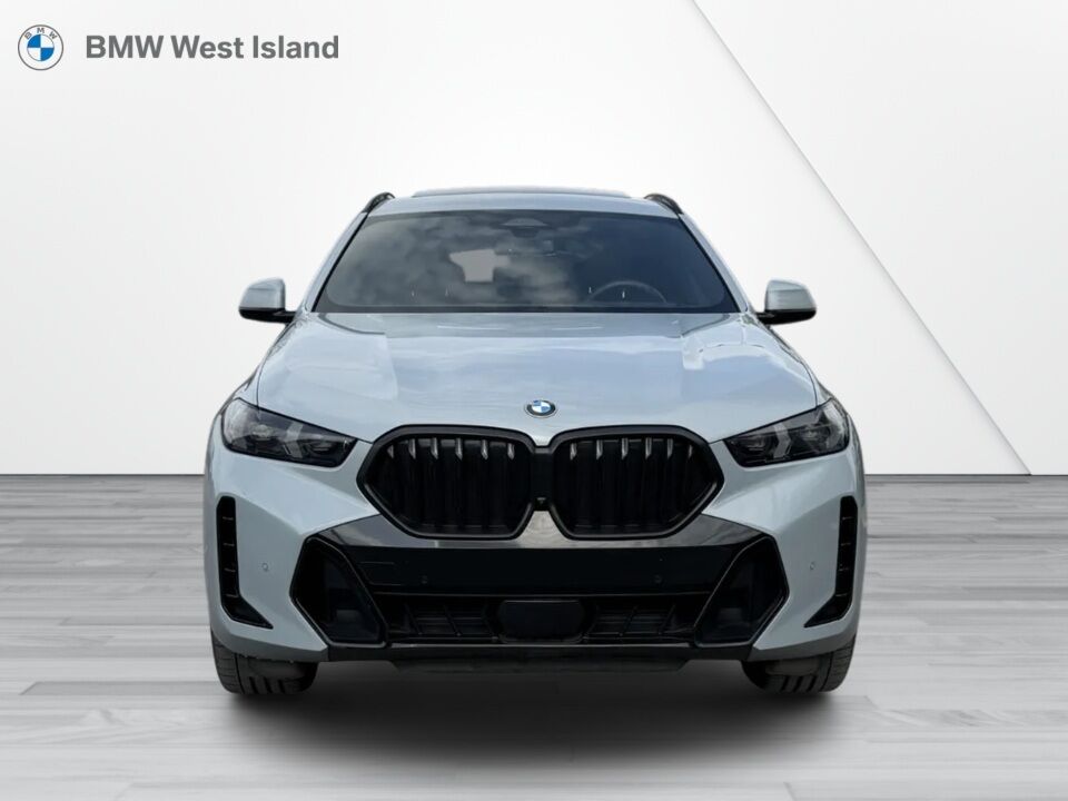 2024 BMW X6