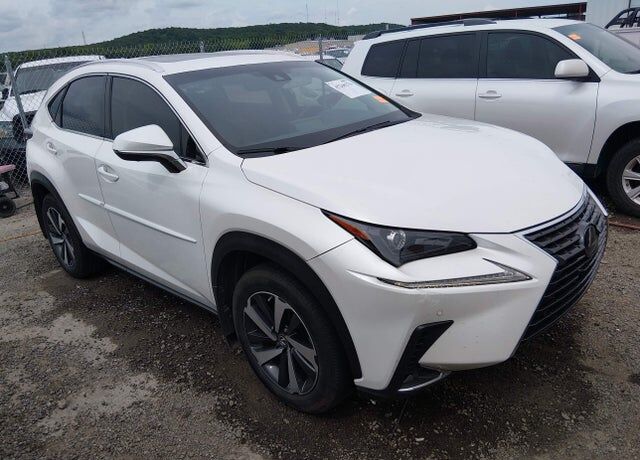 2019 LEXUS NX