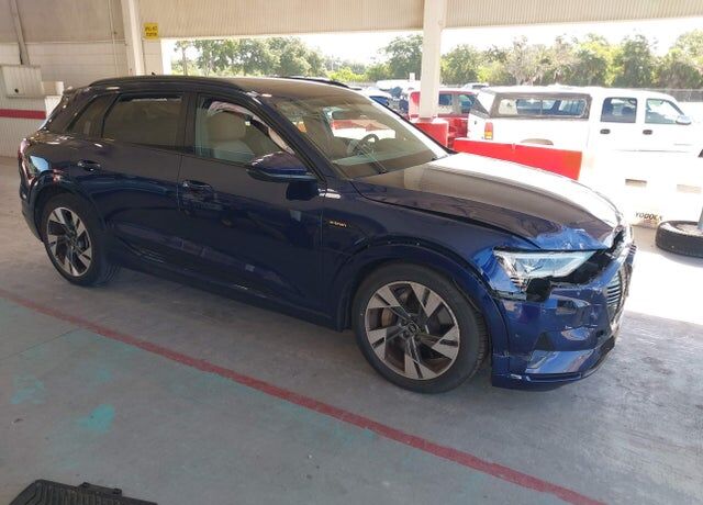 2022 AUDI e-tron