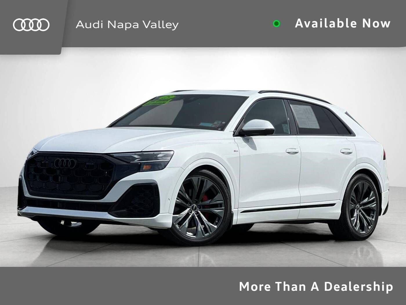 2025 AUDI Q8