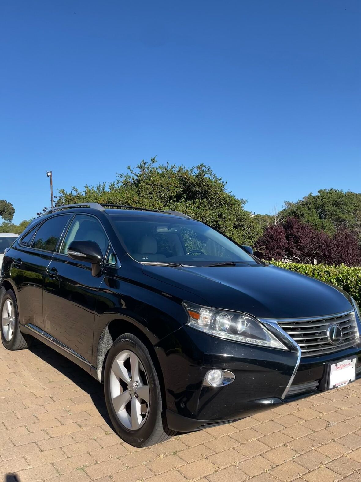 2015 LEXUS RX