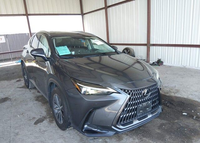 2024 LEXUS NX