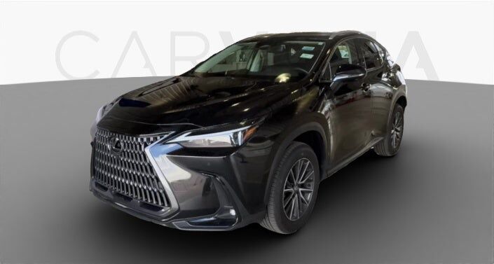 2025 LEXUS NX