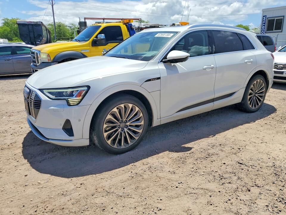 2019 AUDI e-tron