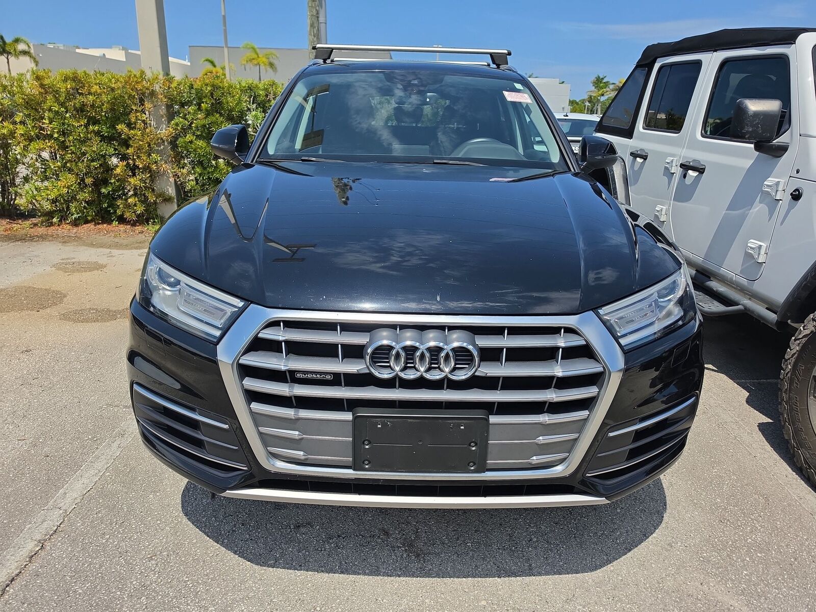 2019 Audi Q5
