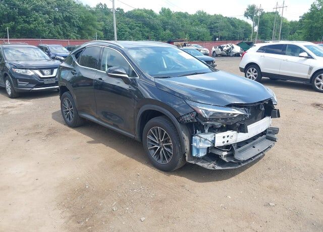 2024 LEXUS NX