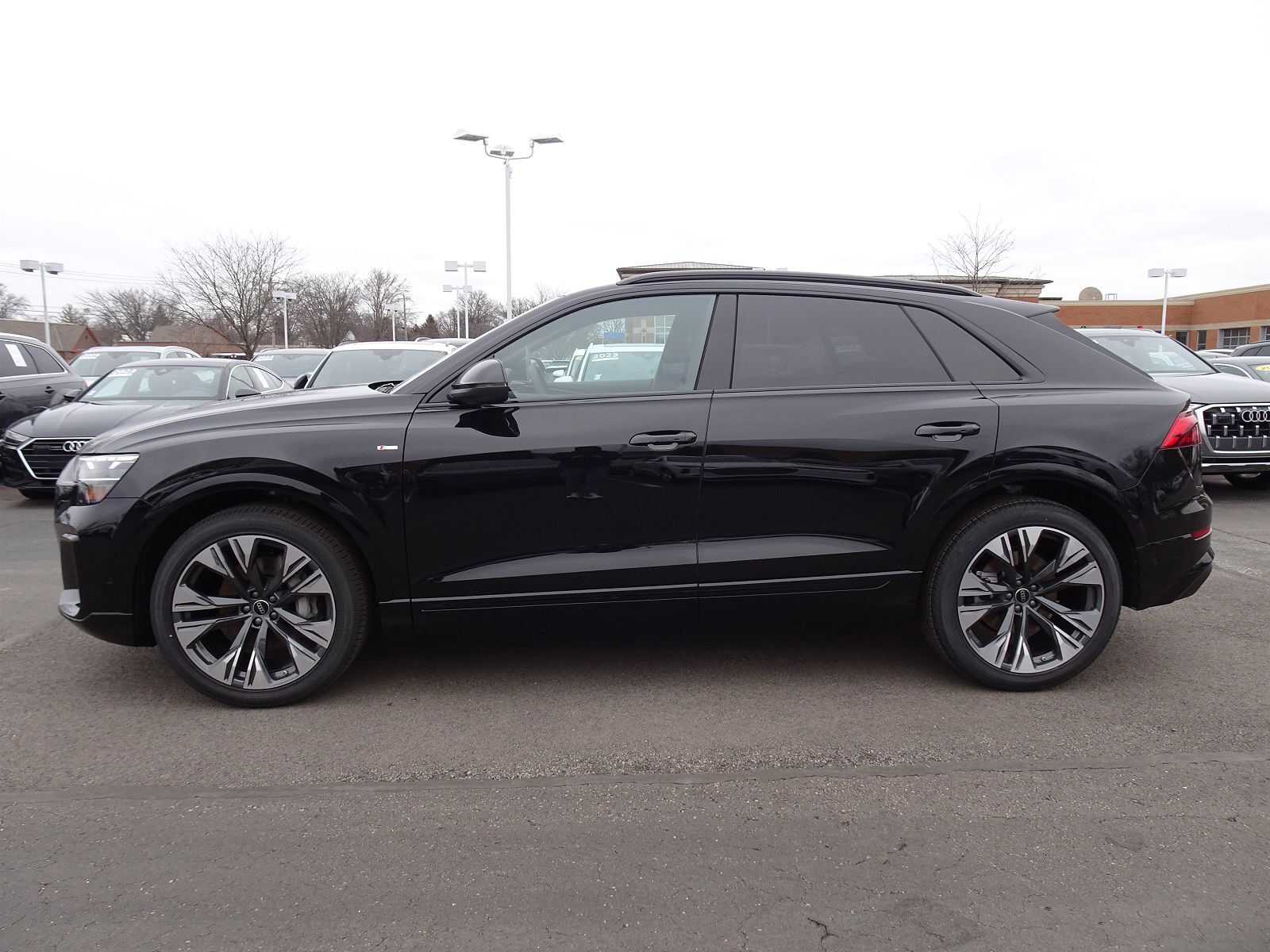 2026 Audi Q8