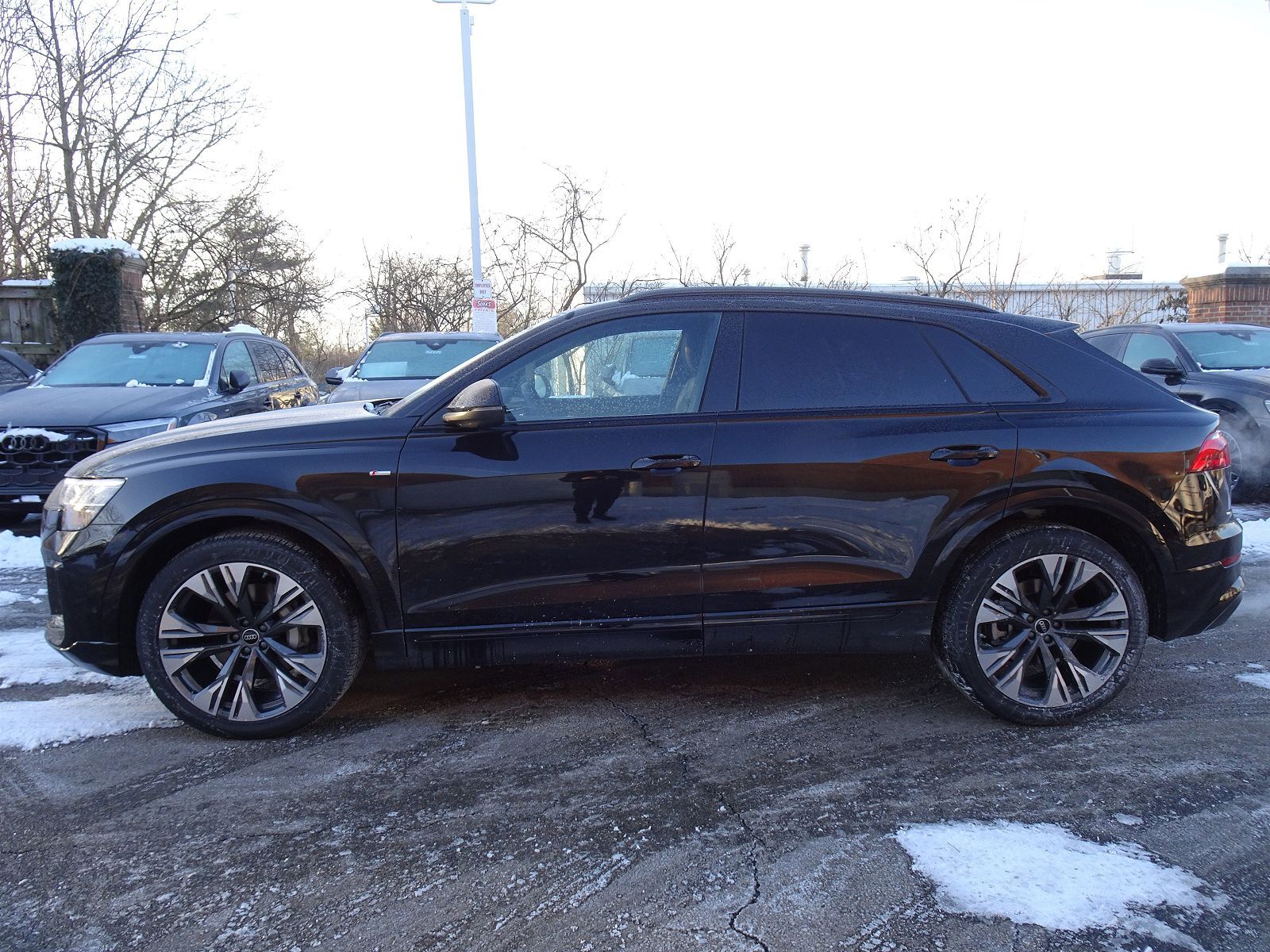 2026 Audi Q8
