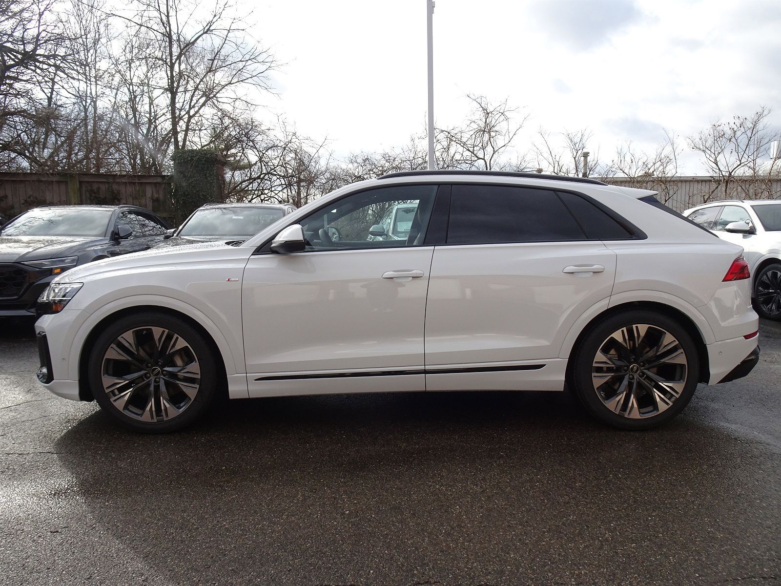 2026 Audi Q8